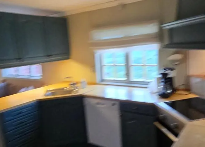 Fjellheimens Svanebu Tyinkrysset