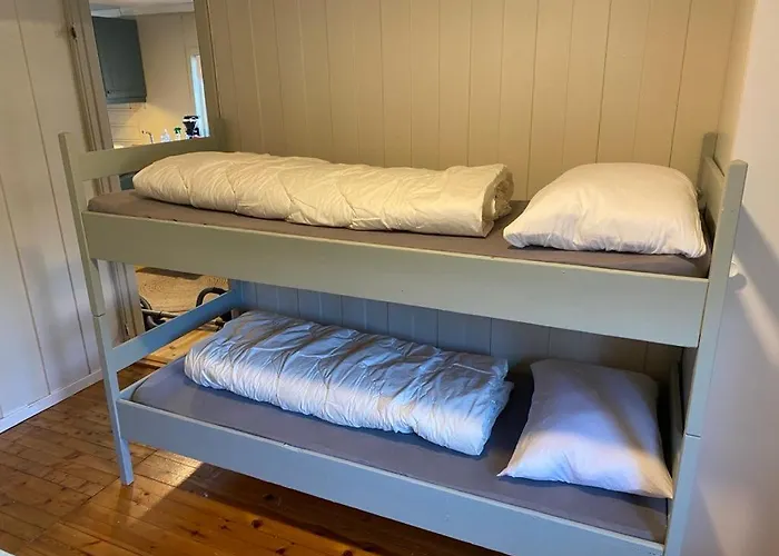 Fjellheimens Svanebu * Tyinkrysset